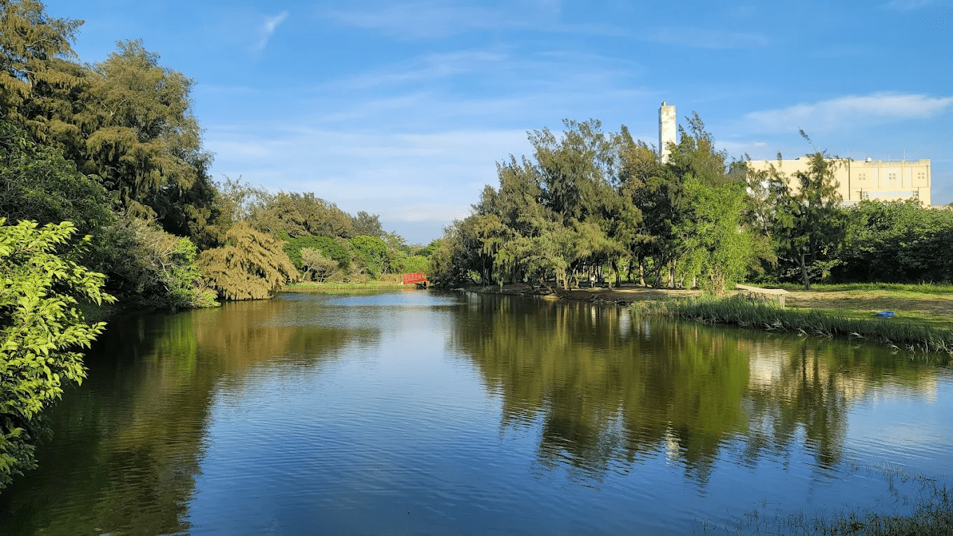 竹南溼地｜北台灣少見的海岸濕地生態秘境