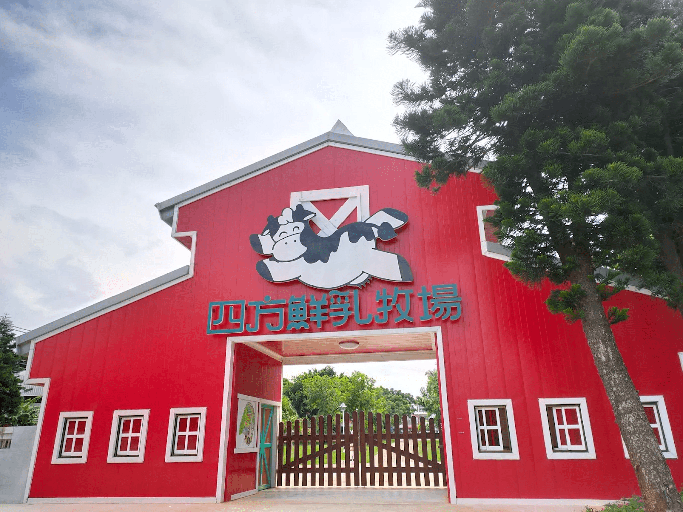 四方鮮乳牧場｜親子最愛半日遊！療癒乳牛、餵奶體驗、好拍草原一次滿足