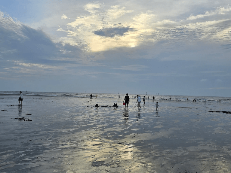 🌊 苗栗通霄海水浴場|百年歷史海岸、十里白沙步道、看夕陽最美的海邊散策地