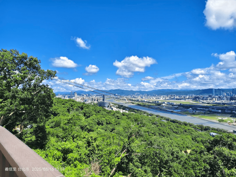 🌲 森林方舟|台北市區就能抵達的森林系秘境