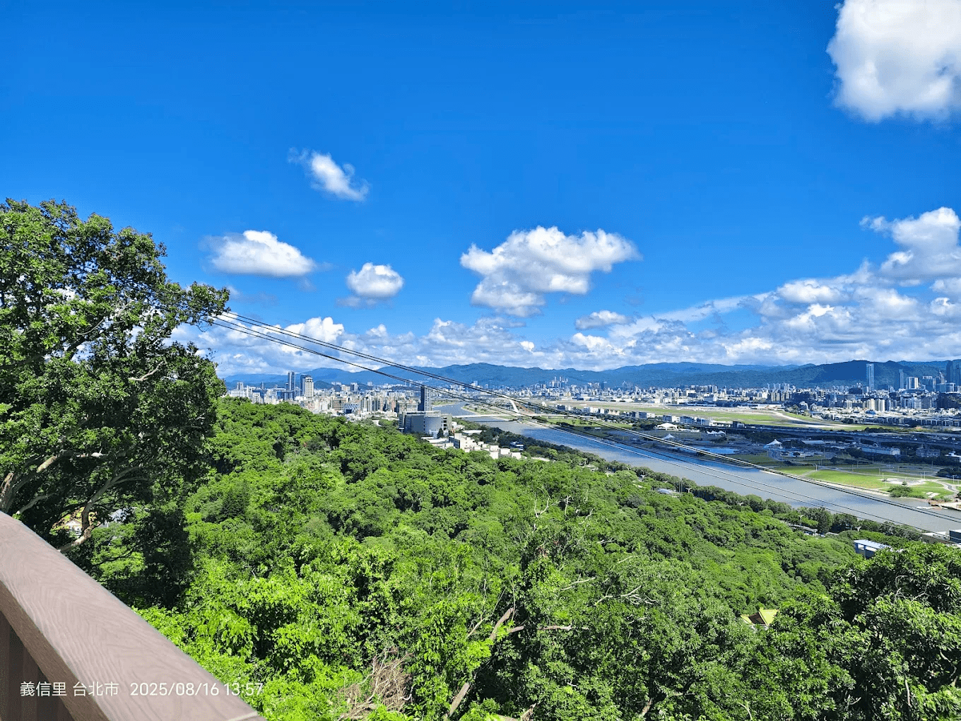 🌲 森林方舟｜台北市區就能抵達的森林系秘境