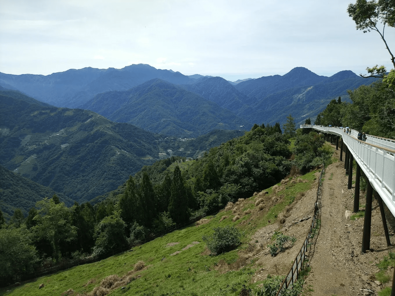 🌤 雲端上的綠色長廊：清境高空觀景步道