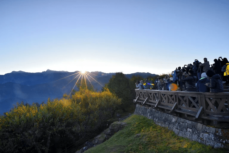 當鐵道蜿蜒入雲，嘉義阿里山小火車的故事正悄悄展開