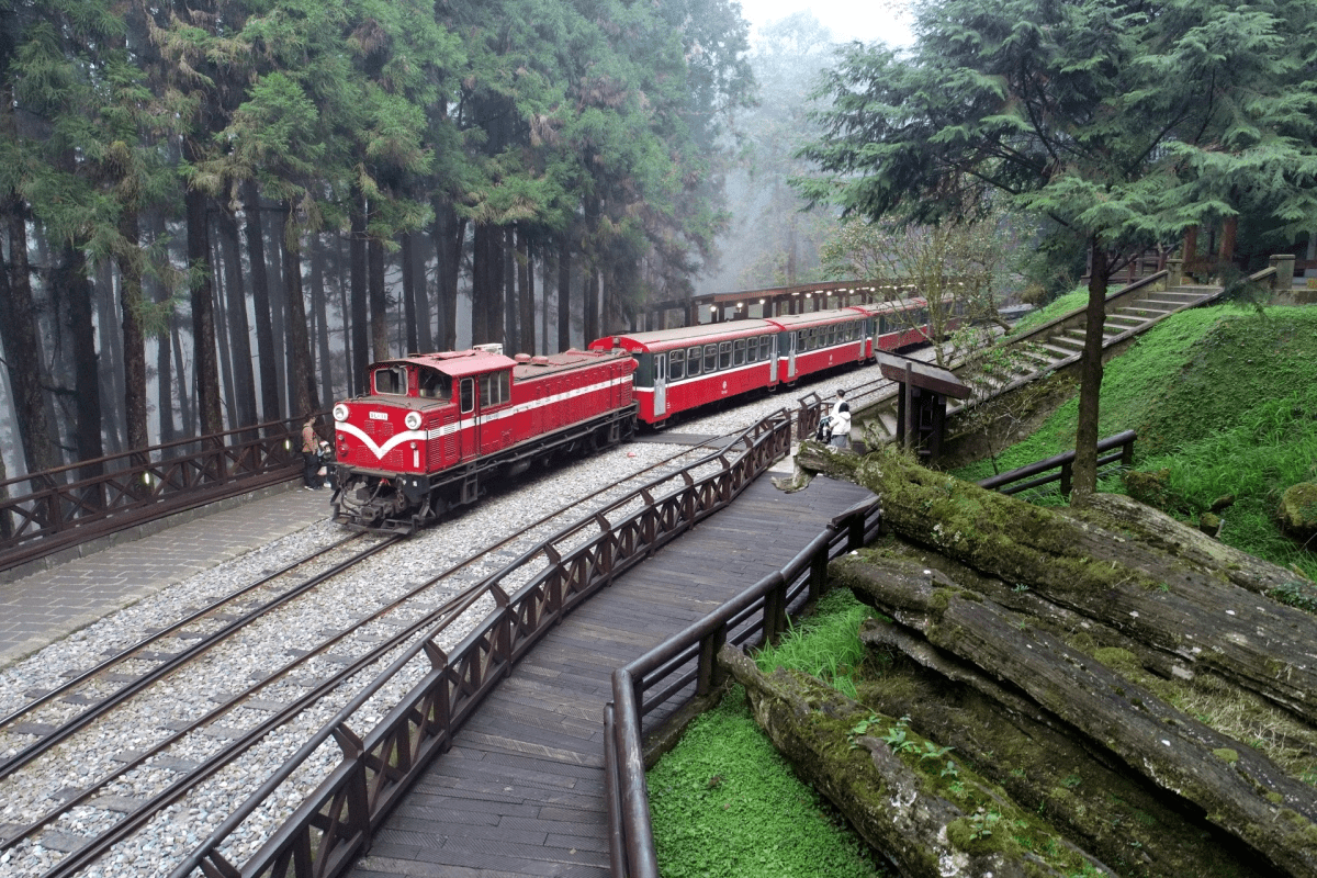 當鐵道蜿蜒入雲，嘉義阿里山小火車的故事正悄悄展開