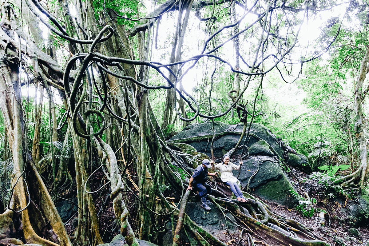 秋天的台東最讓人心動,騎單車穿過金色稻田,在華源海灣的夕陽裡看天色倒映海面