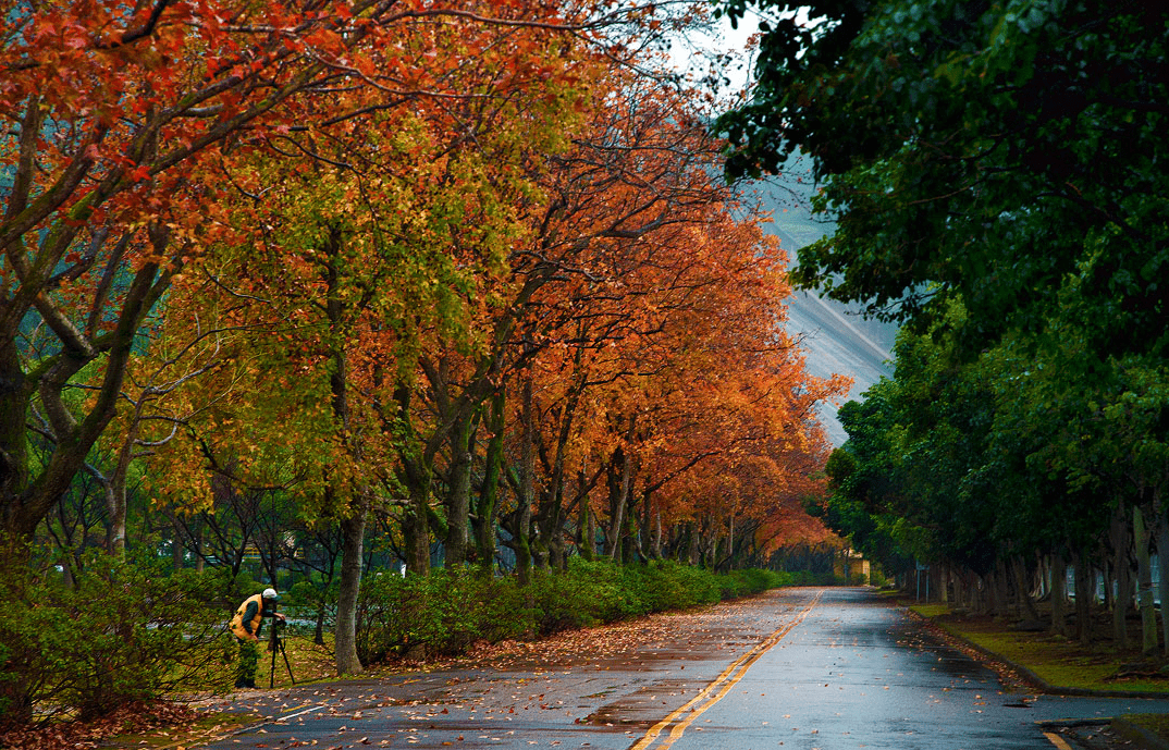 在秋天的石門水庫追一場楓紅倒影，看風輕拂過靜靜的湖面