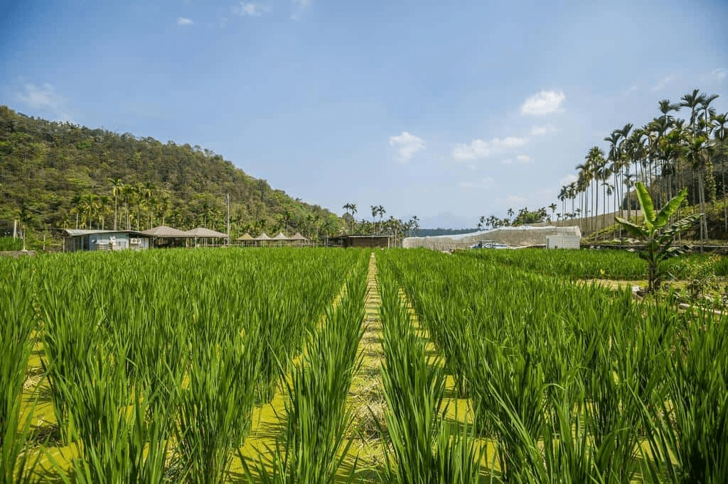 放慢腳步遊埔里，在鯉魚潭聽風掠過水面，再上虎頭山看燈火漸亮