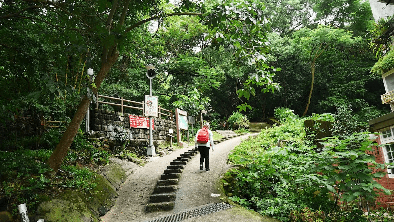 🏞 台灣登山步道推薦｜北中南東經典路線，一次收藏山海壯闊與森林秘境