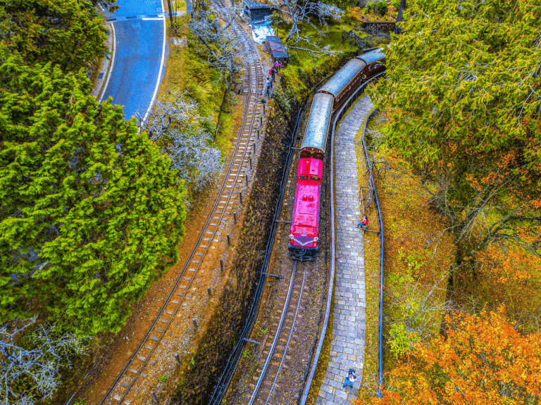阿里山日出的溫柔旅程｜當雲海推開晨光，風在山裡走，一座山的記憶
