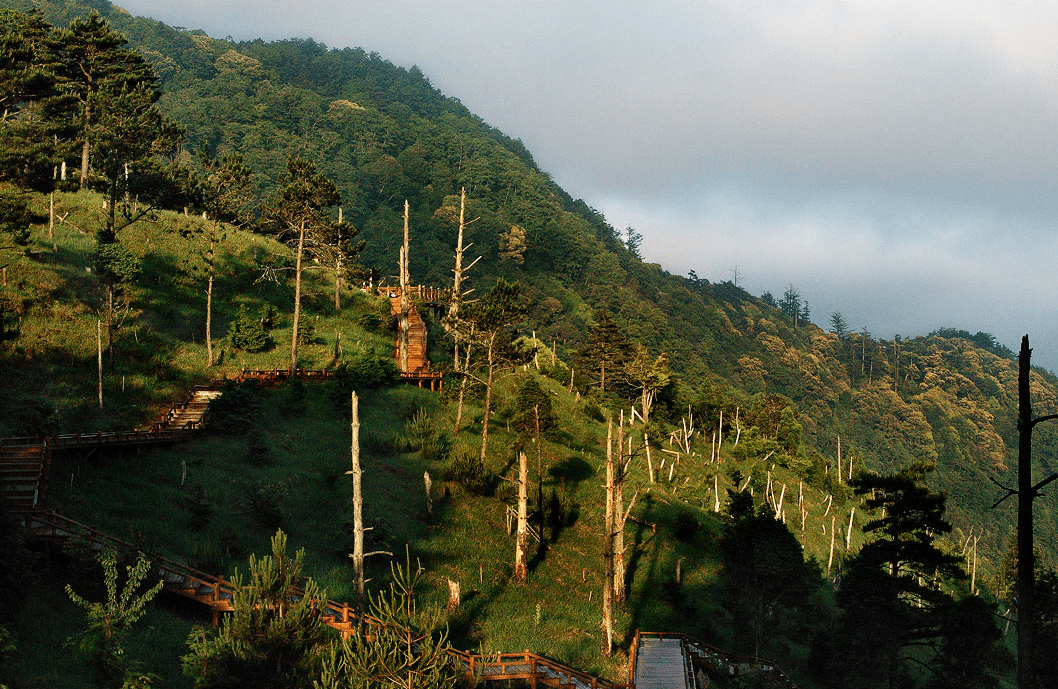 在雲霧翻湧的清晨，走進雪霸國家公園，看山巒與陽光在高處緩緩對話
