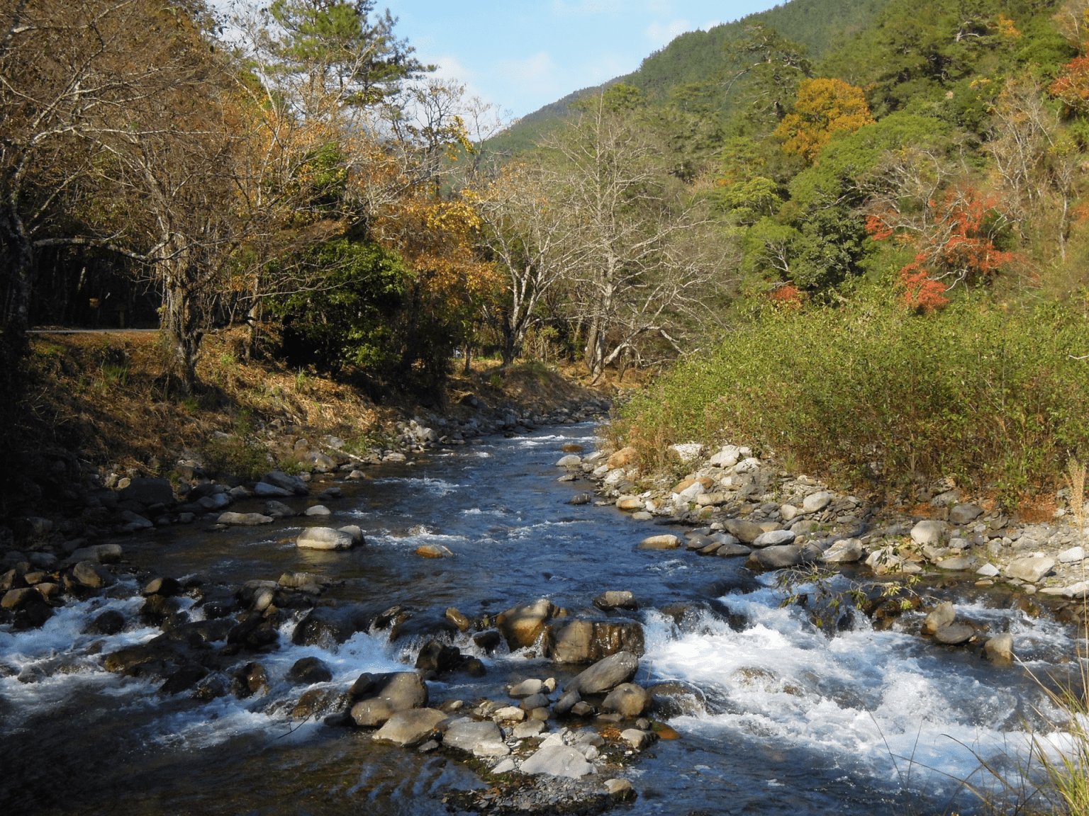 在雲霧翻湧的清晨，走進雪霸國家公園，看山巒與陽光在高處緩緩對話