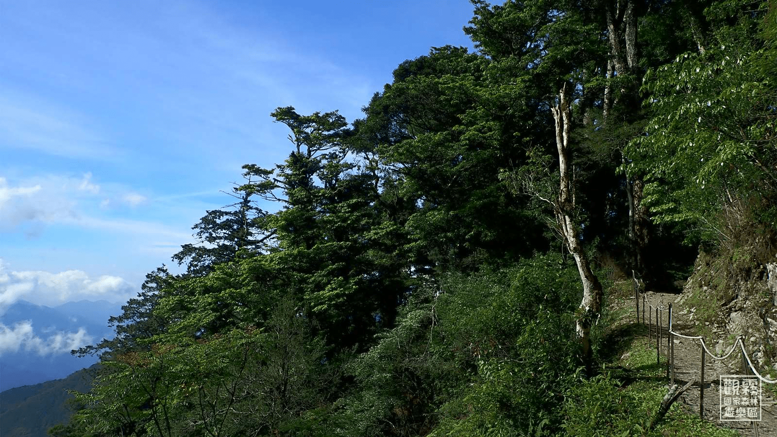 在雲霧翻湧的清晨，走進雪霸國家公園，看山巒與陽光在高處緩緩對話