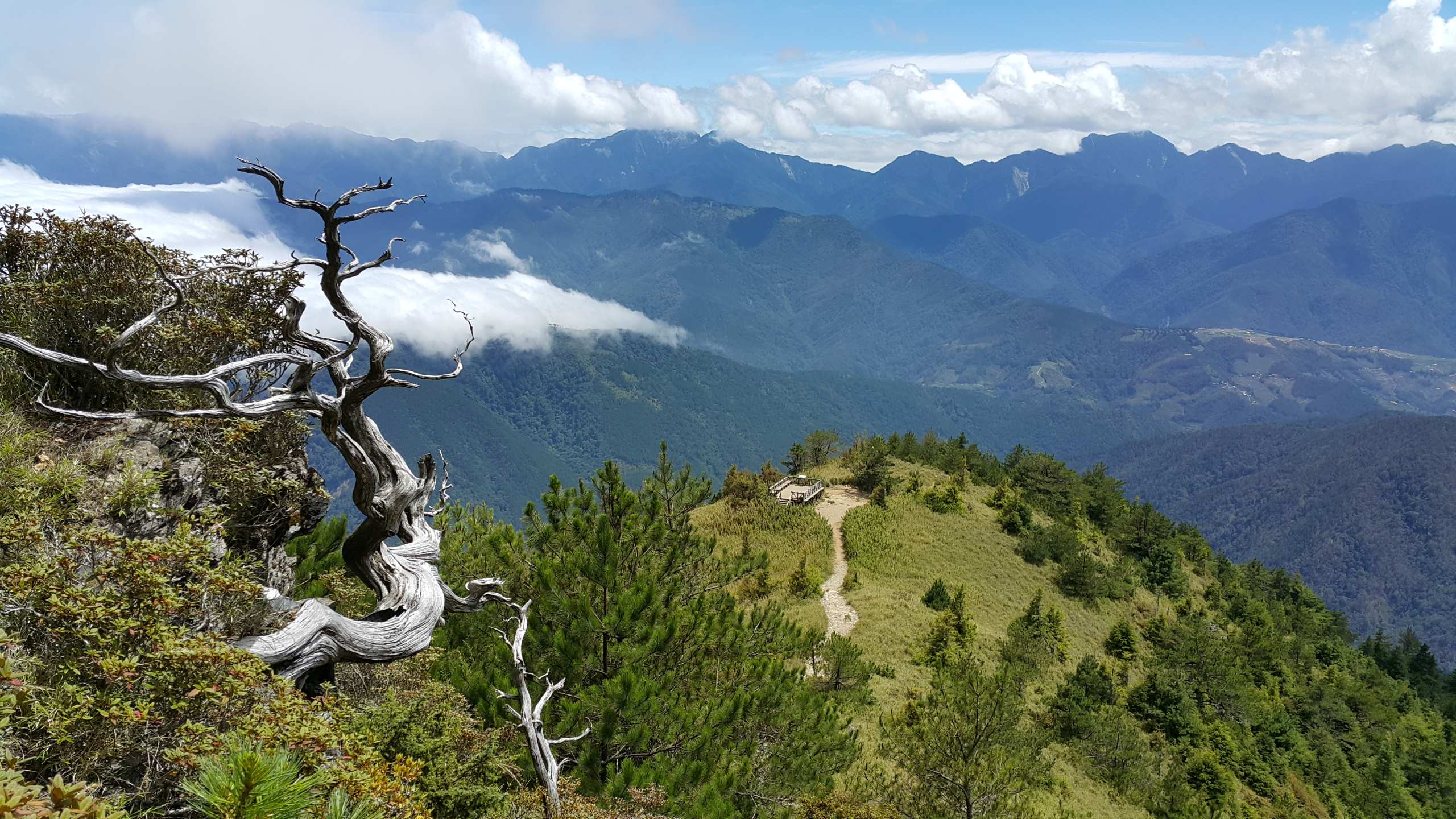 在雲霧翻湧的清晨，走進雪霸國家公園，看山巒與陽光在高處緩緩對話