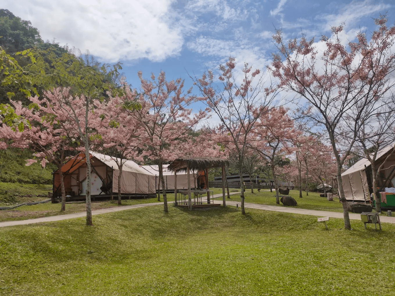 寶來花賞溫泉公園