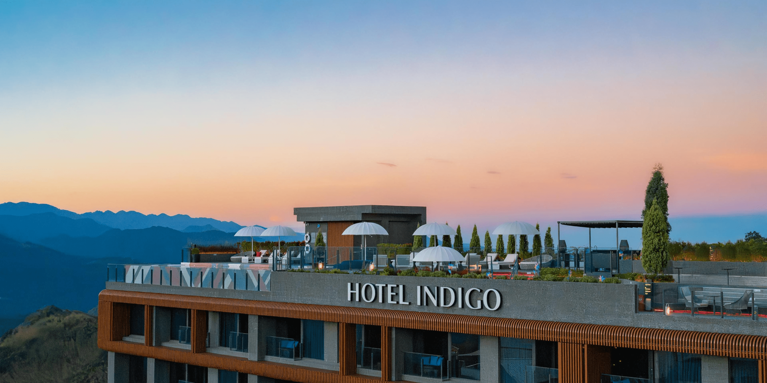 阿里山英迪格酒店|雲海、森林與奢華的交響曲,在山裡找到生活的節奏