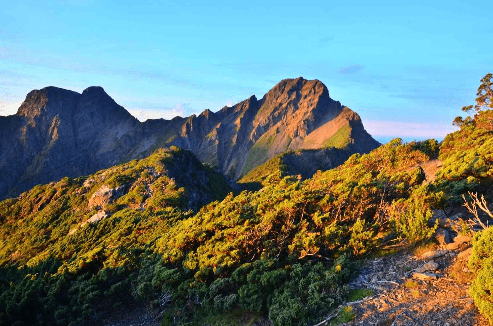 在台灣的屋脊上呼吸｜當你走上玉山的那一刻，遇見台灣最真實的風景