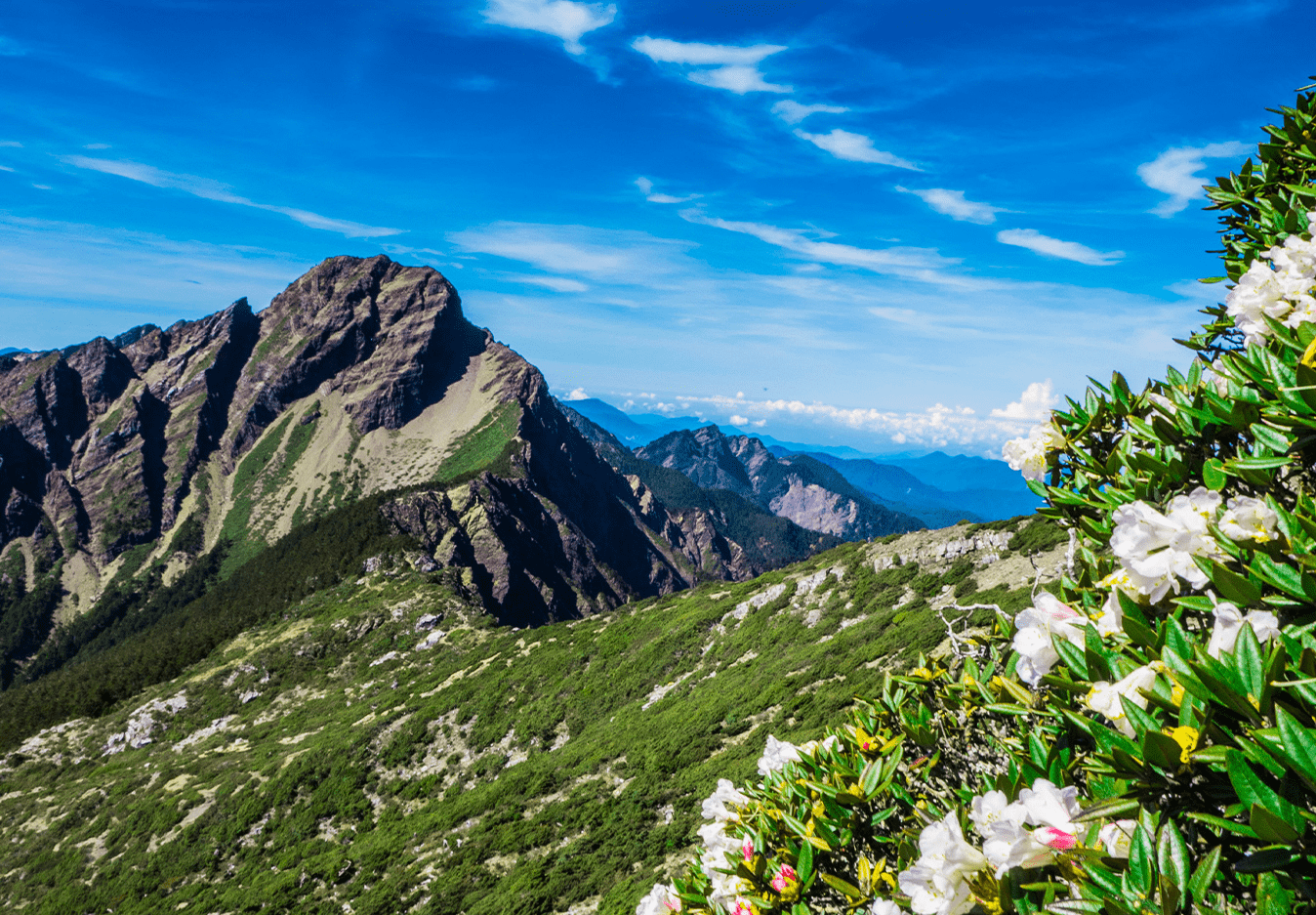 在台灣的屋脊上呼吸｜當你走上玉山的那一刻，遇見台灣最真實的風景
