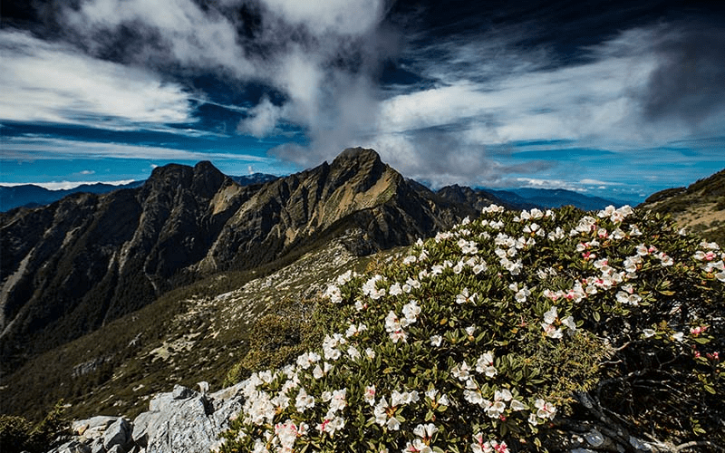 在台灣的屋脊上呼吸｜當你走上玉山的那一刻，遇見台灣最真實的風景