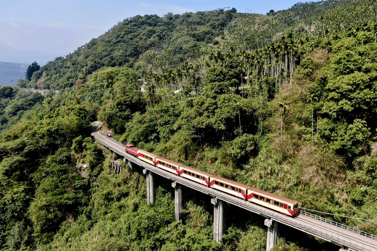 阿里山小火車賞雲海日出｜一趟穿越百年的旅程，聽見鐵軌與風的對話