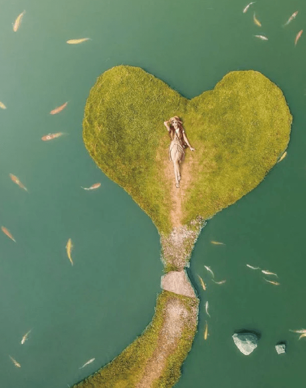 澄霖沉香味道森林館