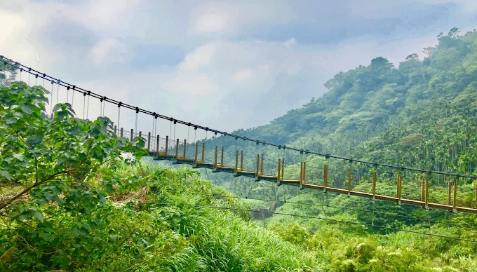 探索雲林的味道｜感受老街歲月與山林香氣，品味老街人情與咖啡文化