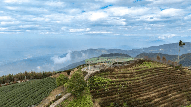 探索雲林的味道｜感受老街歲月與山林香氣，品味老街人情與咖啡文化