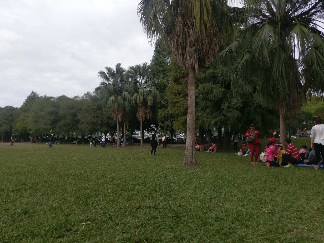 古坑綠色隧道公園