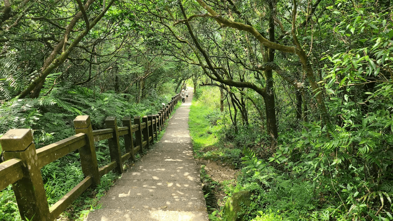 桃源谷步道上的石階與綠意