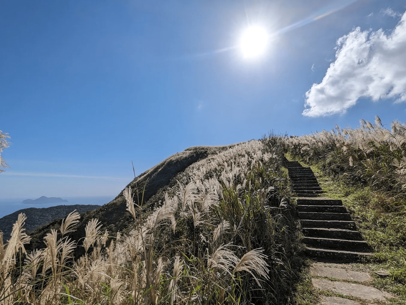 桃源谷俯瞰太平洋的壯麗視野