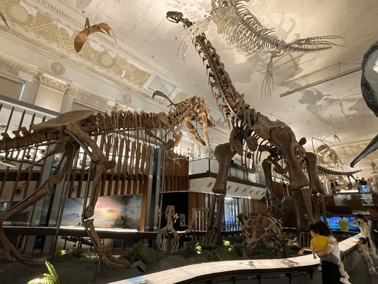 🦕 在台北遇見恐龍！國立臺灣博物館「古生物館」：穿越億年時光的自然奇幻旅程