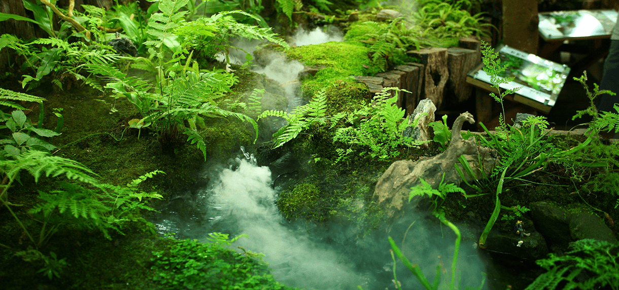 森林裡的笑聲與風聲，一場關於自然的旅行，綠世界生態農場的綠意療癒