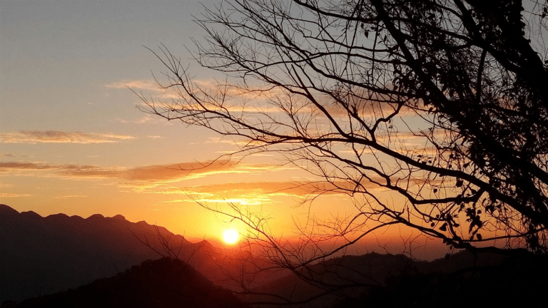 東眼山國家森林遊樂區｜從柳杉林到雲海，北台灣最療癒的森林健行基地