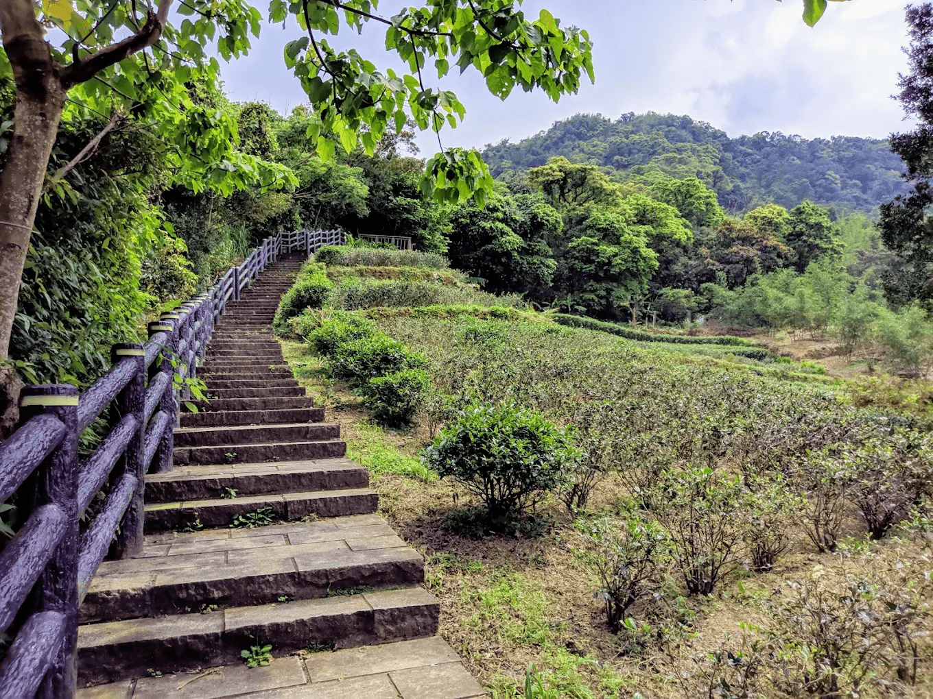 🌿 銀河洞越嶺步道｜新店最夢幻的「水簾洞仙境」，一日輕健行就能遇見雲霧與飛瀑！