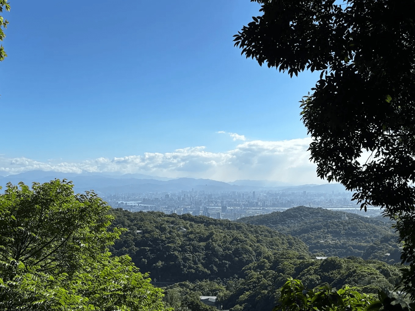 🌿草山行館｜陽明山秘境日式行館，走進台北的歷史與靜謐時光