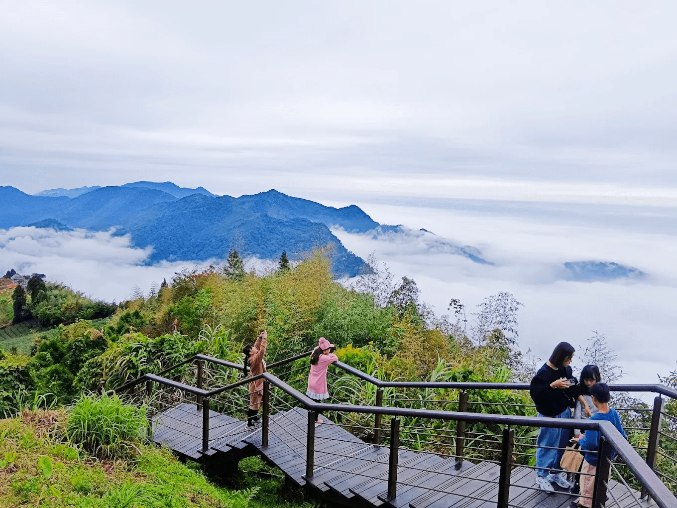 🌿 台灣經典登山步道推薦｜從山稜雲海到海岸秘境，一次收藏全台最美風景