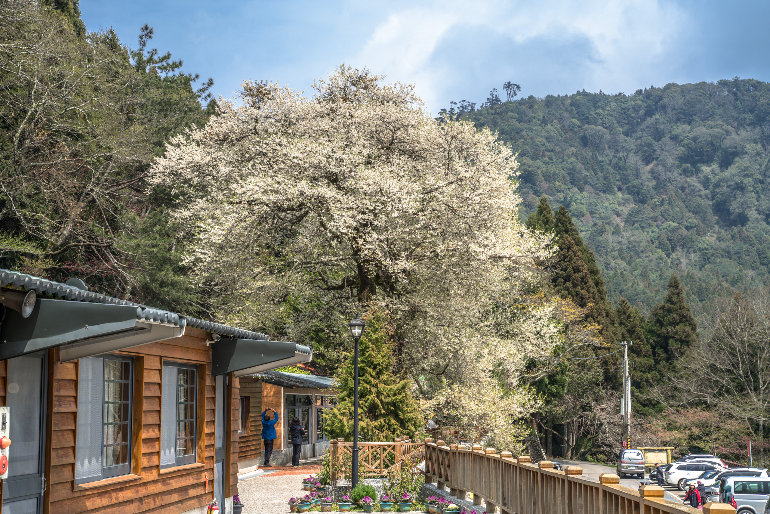 一段與自己重逢的高山旅程，雲霧作枕，山林為伴｜住進觀霧山莊的詩意