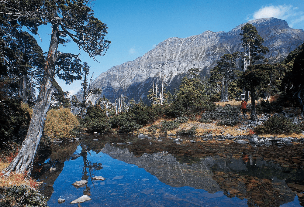 走進雲霧與山巒之間，在山風與雲之上，遇見雪霸國家公園的壯闊與溫柔