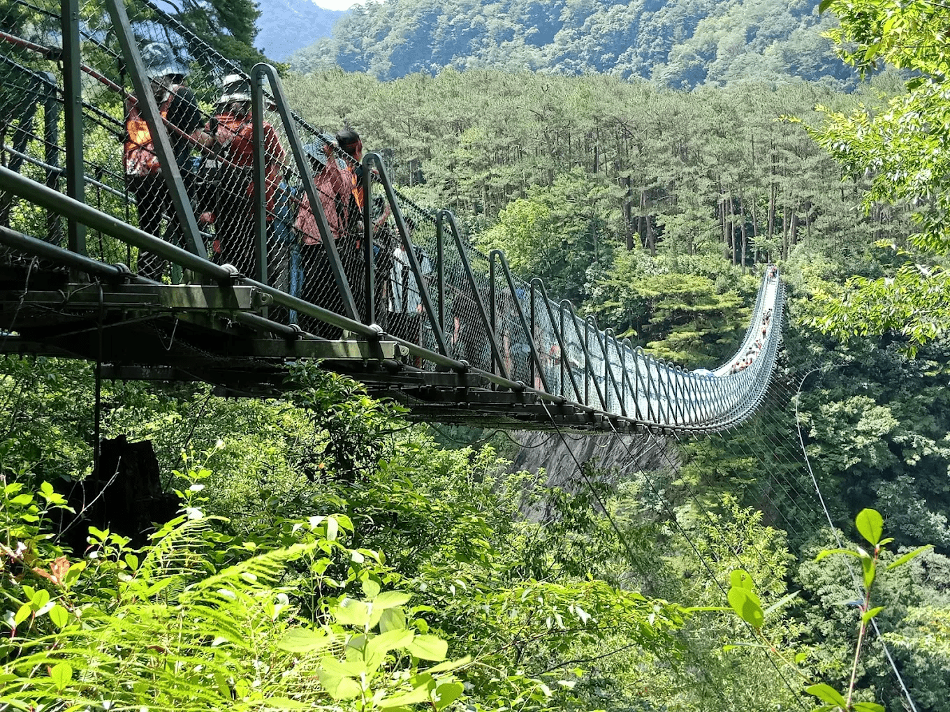 奧萬大吊橋與楓紅谷壯麗景色