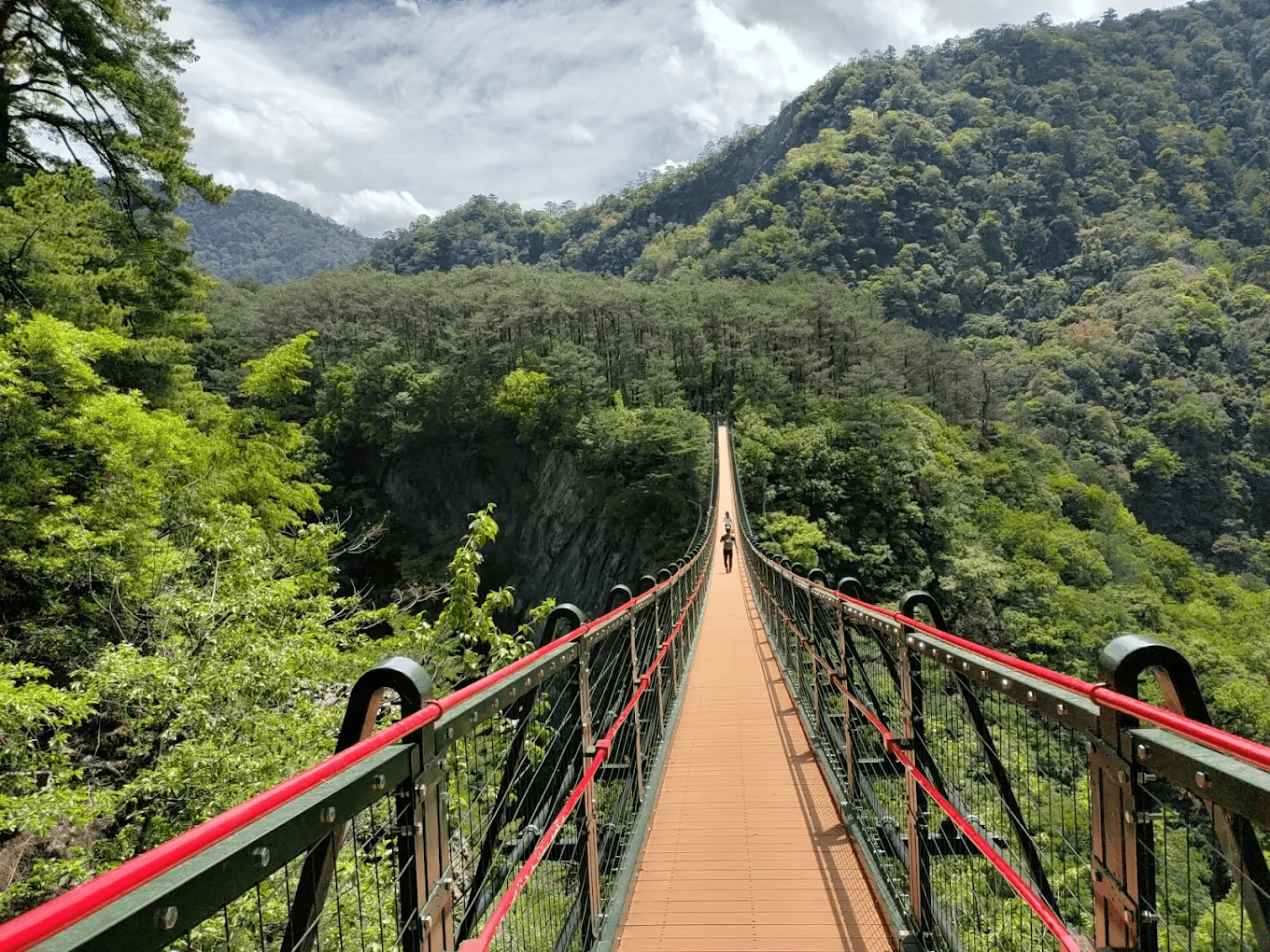 奧萬大國家森林遊樂區楓紅美景