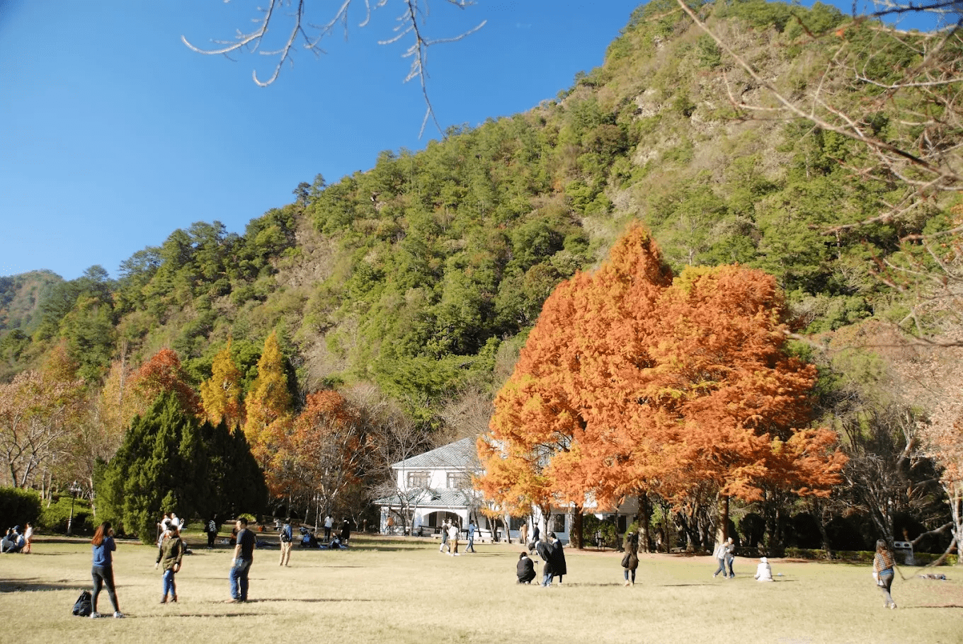 奧萬大森林步道與自然生態