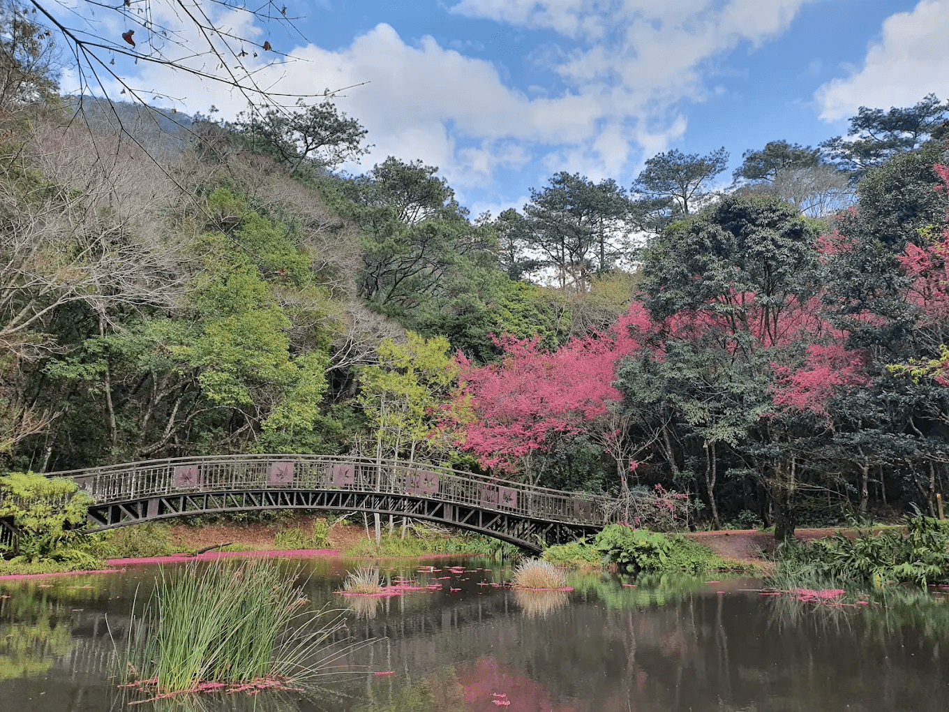 奧萬大國家森林遊樂區園區全景