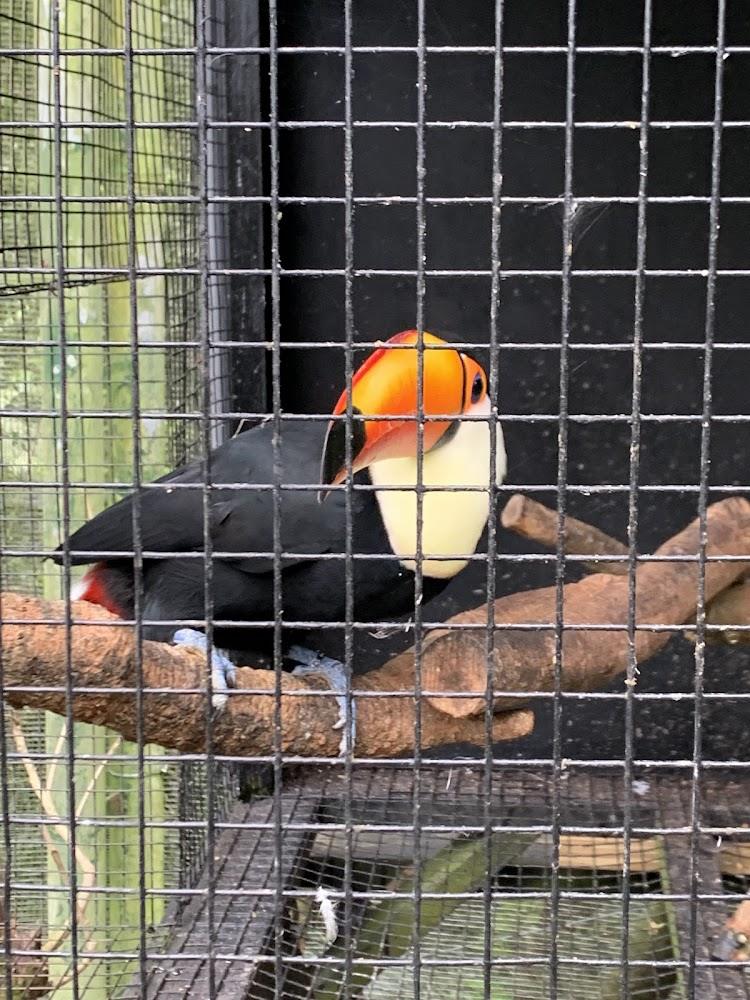 綠世界生態農場