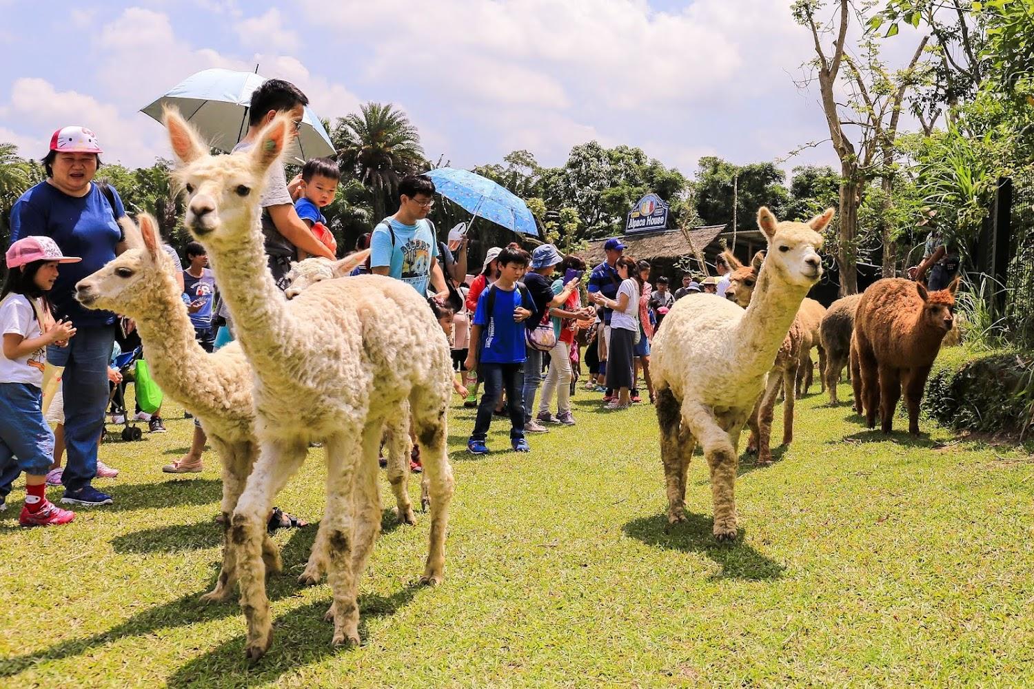 綠世界生態農場