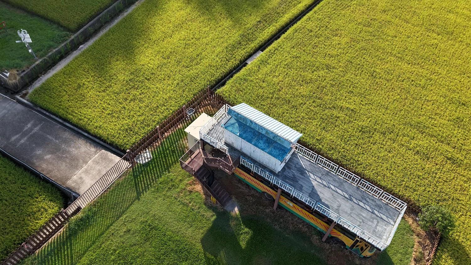 外埔忘憂谷的稻田美景