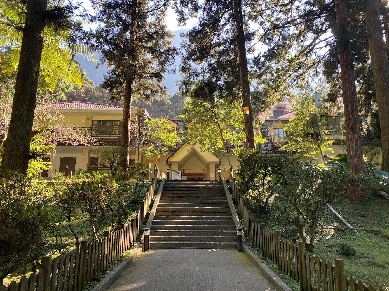 走進南投溪頭的晨霧森林,挑間喜歡的住宿把腳步放慢在山光裡的一天