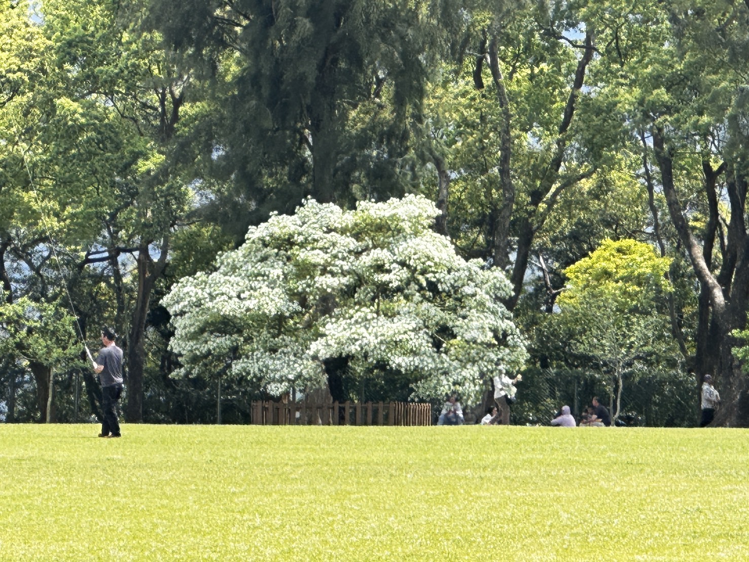 從十一份觀光文化園區出發,在龍潭的老聚落與水景之間散步,把一天慢慢走完