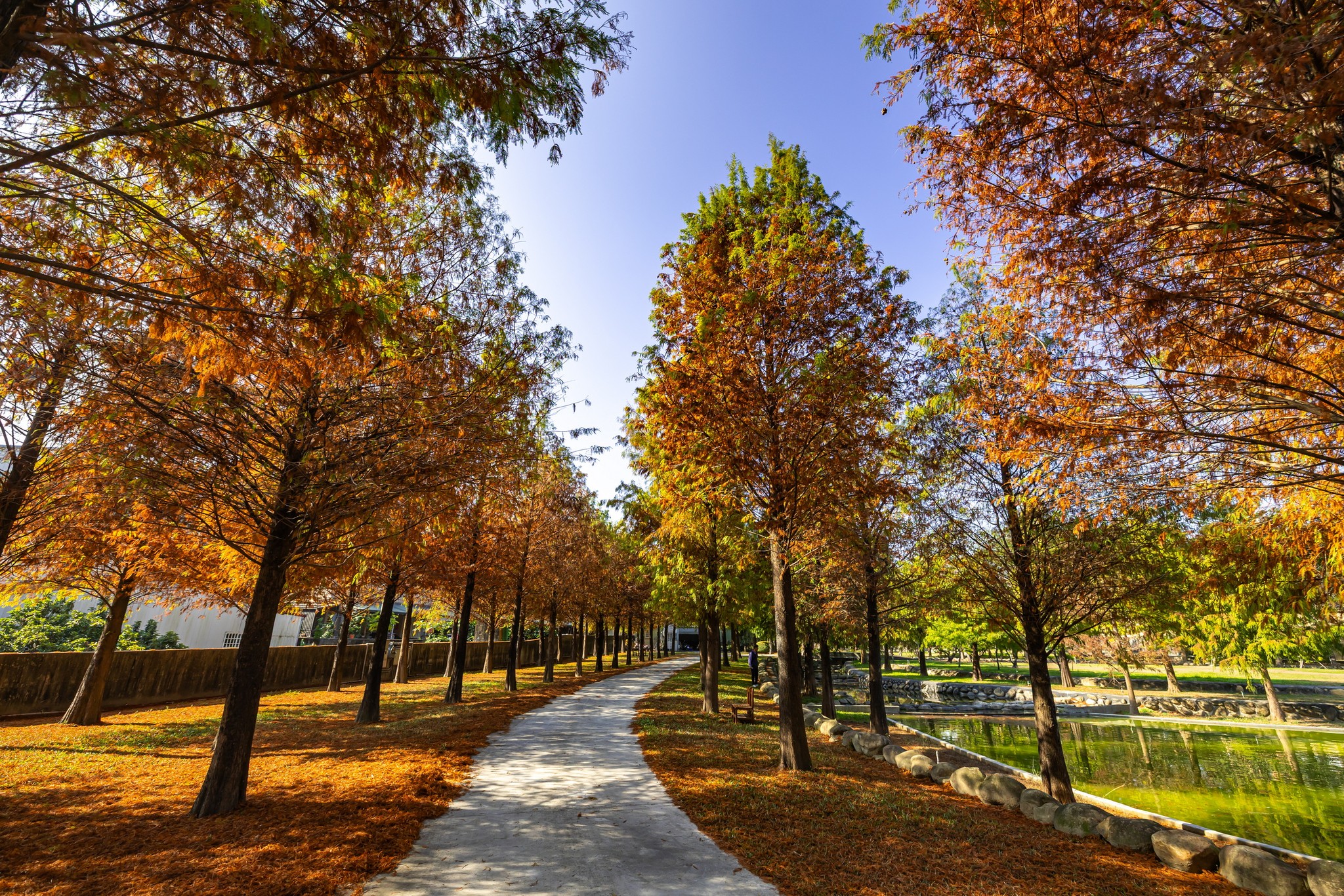 欣美創意園區的湖畔風景，適合放鬆心情。