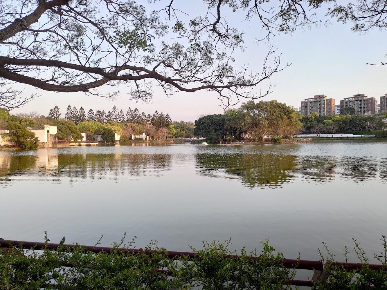 金城湖擁有寧靜的生態環境，設有賞鳥平台供遊客休憩