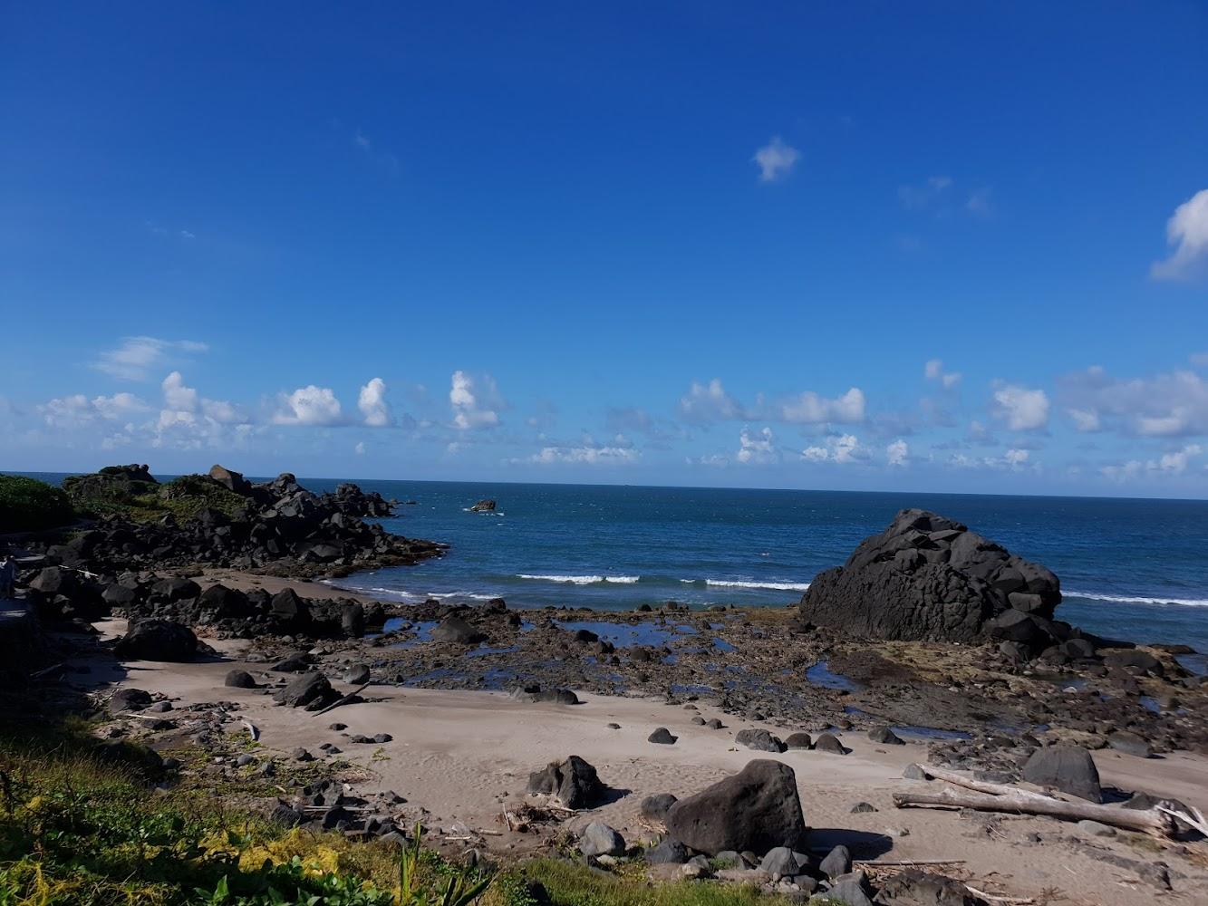 麟山鼻藻礁海岸與潮間帶生態