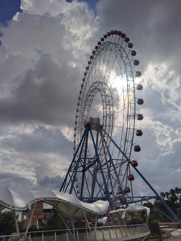 麗寶落羽松大道